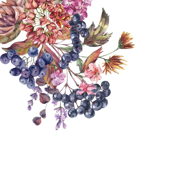 Aquarel vintage boeket met chokeberry, ranunculus, herfst l — Stockfoto