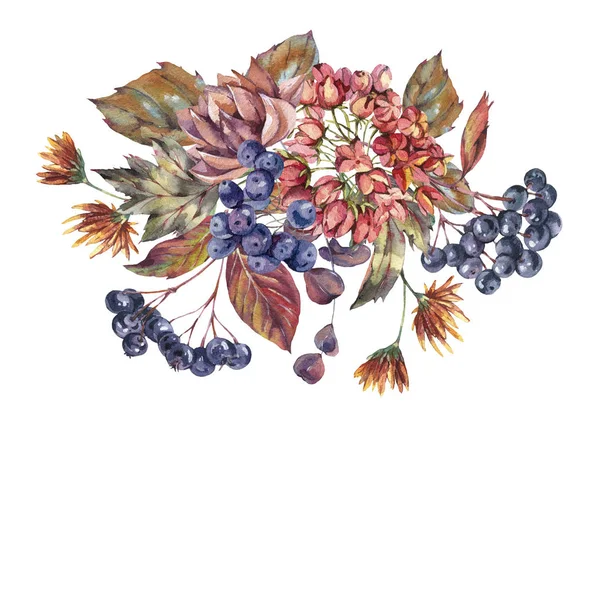 Buquê vintage aquarela com chokeberry, ranúnculo, outono l — Fotografia de Stock