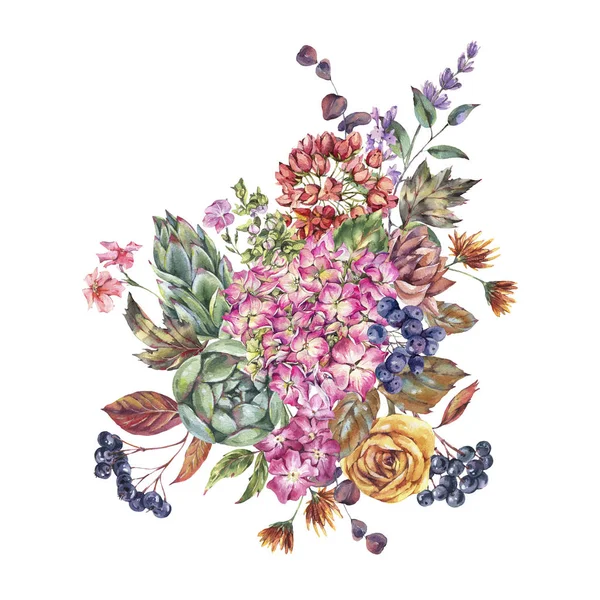 Akwarela vintage bukiet z hortensjami, dzikie kwiaty, jesień — Zdjęcie stockowe