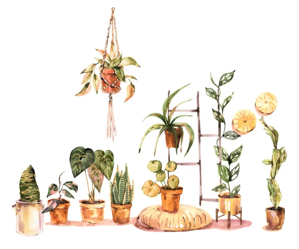 Акварельний Домашній Декор Вітальна Листівка Кімнатні Рослини Міські Джунглі Натуральні — стокове фото