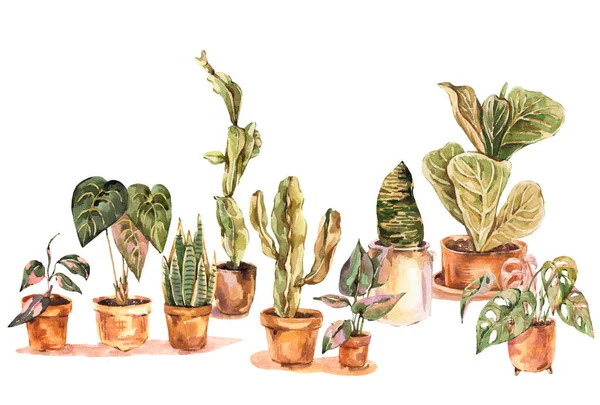 Akvarel Vnitřní Rostliny Městská Džungle Přírodní Ilustrace Ročník Designové Objekty — Stock fotografie