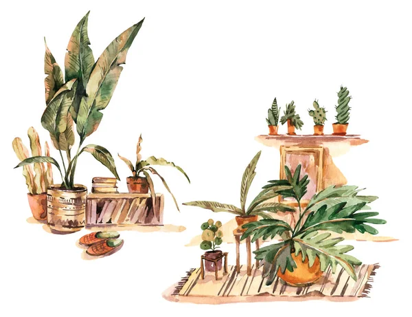 Akvarell Boho Otthon Dekoráció Üdvözlőlap Beltéri Növények Városi Dzsungel Természetes — Stock Fotó