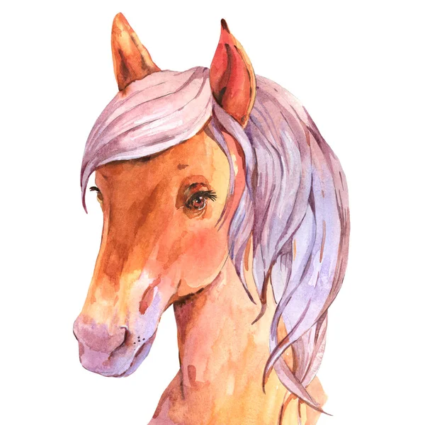 Watercolor fase horse illustration isolated on white background. Animal kids natural collection. Watercolor Horse Portrait.