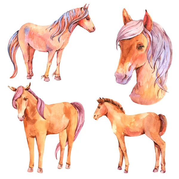 Watercolor set of red horse illustration isolated on white background. Animal kids natural collection