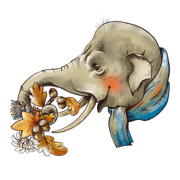 Klasyczna Jesienna Ilustracja Słodki Słoń Jesiennych Liści Żołędzi Brunch Safari — Zdjęcie stockowe