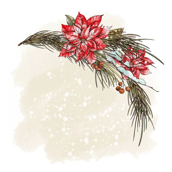 Ramo Navidad Con Ramas Abeto Flores Poinsettia Ilustración Año Nuevo — Foto de Stock