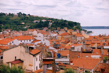 Slovenya 'nın Piran kentinde Kızıl Çatılı Antik Binalar