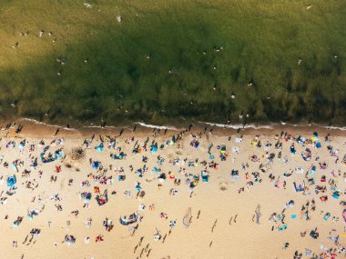 Güneş banyosu yapan insanlarla sahilin havadan görünüşü
