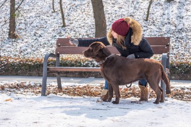 Güzel bir genç sarı saçlı kadın onun büyük kahverengi labrador köpek Park ile kışın eğleniyor