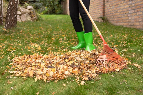 Mujer Está Haciendo Trabajo Jardín Otoño — Foto de Stock