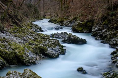 Akan nehir, Vintgar Gorge, Slovenya