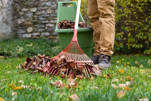 Man Making Autumn Garden Work — Stock Photo, Image