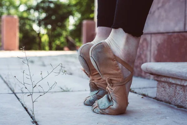 Молода Балерина Чорно Фіолетовому Одязі Тренування Парку — стокове фото