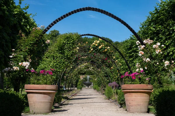 Bangor Castle Walled Garden Irlanda Del Norte Condado — Foto de Stock