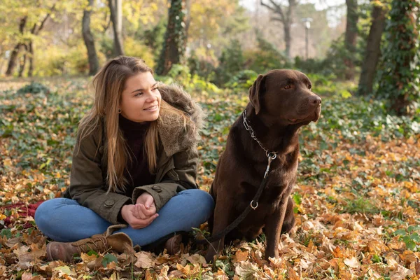 Güzel bir genç sarı saçlı kadın onun büyük kahverengi labrador köpek parkında sonbahar düşen yapraklar yığını ile eğleniyor
