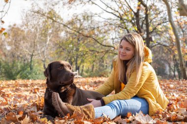 Güzel bir genç sarı saçlı kadın onun büyük kahverengi labrador köpek Park ile eğleniyor