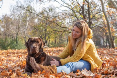 Güzel bir genç sarı saçlı kadın onun büyük kahverengi labrador köpek Park ile eğleniyor