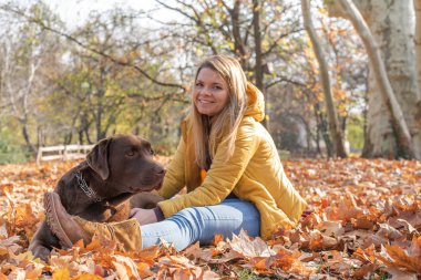 Güzel bir genç sarı saçlı kadın onun büyük kahverengi labrador köpek Park ile eğleniyor
