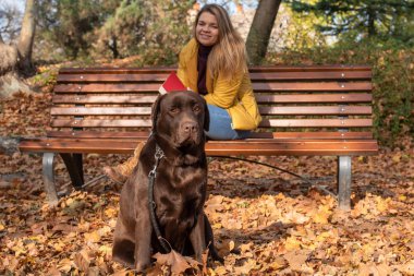 Güzel bir genç sarı saçlı kadın onun büyük kahverengi labrador köpek Park ile eğleniyor