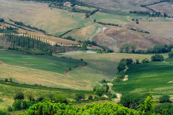Montepulciano Siena Tuscany Italia Medieval Village Country Fields — Stock Photo, Image