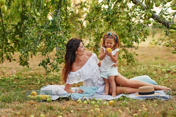 Ευτυχισμένη Οικογένεια Μαζεύει Φρέσκα Βιολογικά Φρούτα Μήλα Στη Φάρμα Χαμογελώντας — Φωτογραφία Αρχείου
