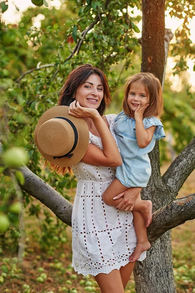 Feliz Familia Recogiendo Manzanas Frescas Frutas Orgánicas Granja Quitar Las — Foto de Stock