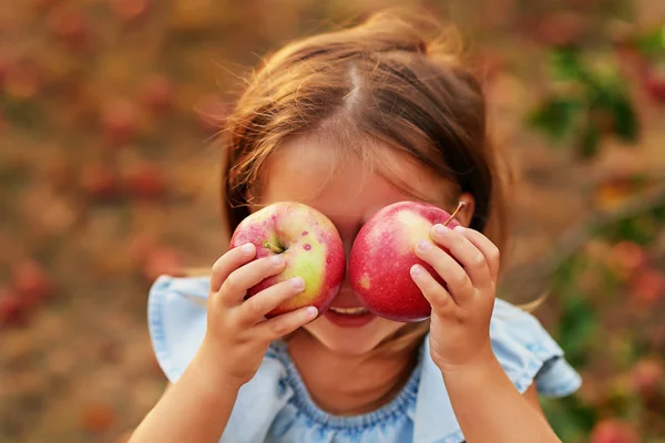 Chica Apple Orchard Hermosa Chica Comiendo Apple Orgánico Orchard Concepto — Foto de Stock