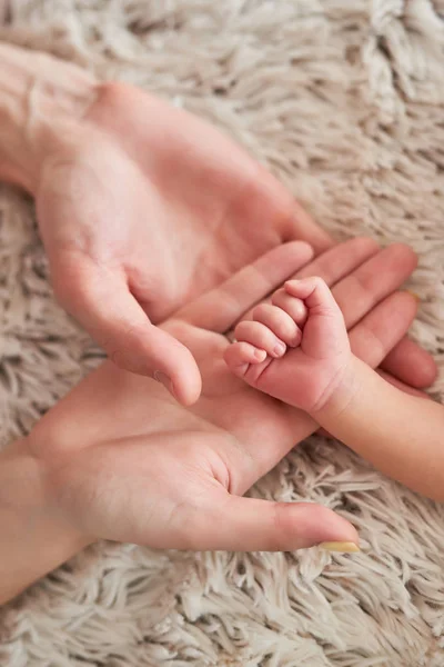 Palm Newborn Baby Light Background — Stock Photo, Image