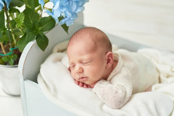 Pasgeboren Jongen Witte Achtergrond — Stockfoto