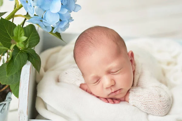 Pasgeboren Jongen Witte Achtergrond — Stockfoto