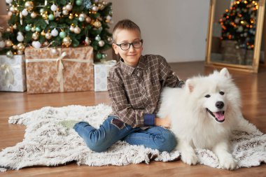 Noel ağacı Noel arka plan üzerinde köpeğe çocukla