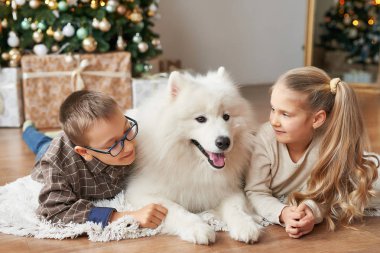 kız ve erkek samoyed Dog Noel arka plan üzerinde