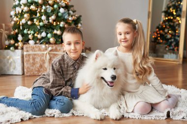 kız ve erkek samoyed Dog Noel arka plan üzerinde