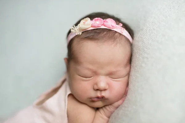 photo shoot for a newborn girl