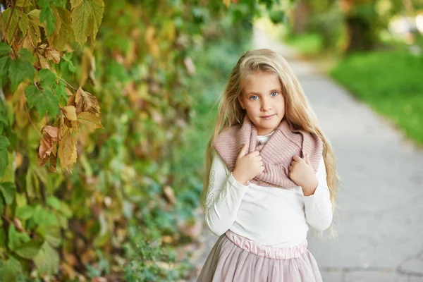 Κορίτσι Ξανθιά Βόλτες Εξωτερικούς Χώρους Φθινόπωρο — Φωτογραφία Αρχείου