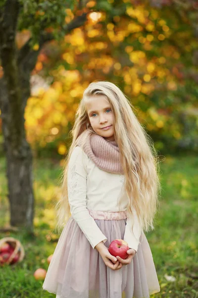 Blondes Mädchen Geht Herbst Mit Einem Korb Voller Äpfel Ins — Stockfoto