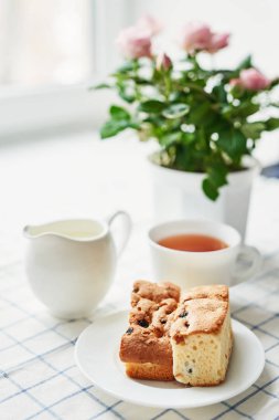 güveç, süzme peynir, çay süt ve tablo pencerenin karşısında üzerinde bir tencerede pembe güller