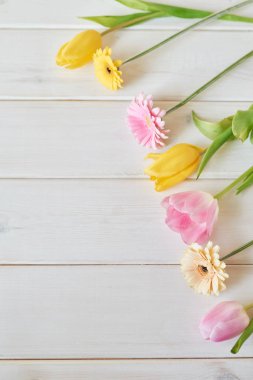 gerbera çiçekleri ve lale anneler günü için beyaz bir arka plan üzerinde