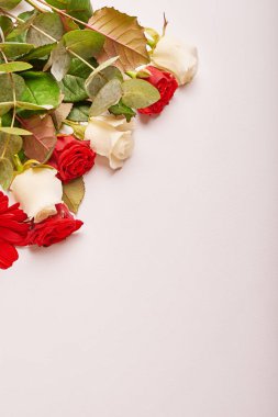 Sevgililer günü 14 Şubat ya da anneler günü için beyaz bir arka plan üzerinde çiçekler