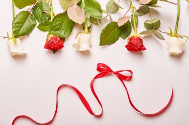 Sevgililer günü 14 Şubat ya da anneler günü için beyaz bir arka plan üzerinde çiçekler