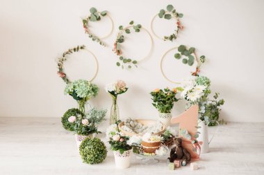 Doğum günü 1 yıl kek Smash dekor