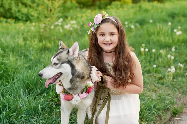 허스키 강아지와 여름에 — 스톡 사진
