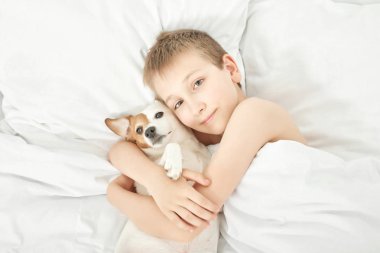 evde beyaz yatakta köpek jack russell ile uyuyan çocuk