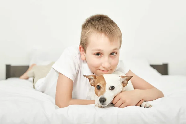 Chlapec Psí Jack Russell Sedí Bílé Posteli Doma — Stock fotografie