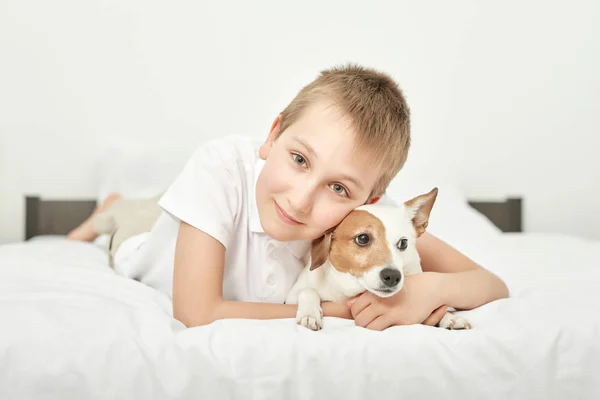 Chlapec Psí Jack Russell Sedí Bílé Posteli Doma — Stock fotografie