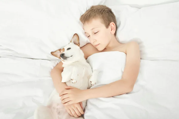 Chlapec Spící Psem Russellem Bílé Posteli Doma — Stock fotografie