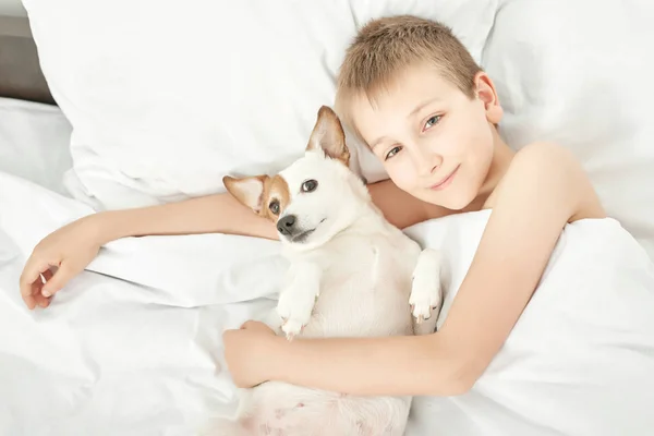 Jongen Slapen Met Hond Jack Russell Wit Bed Thuis — Stockfoto