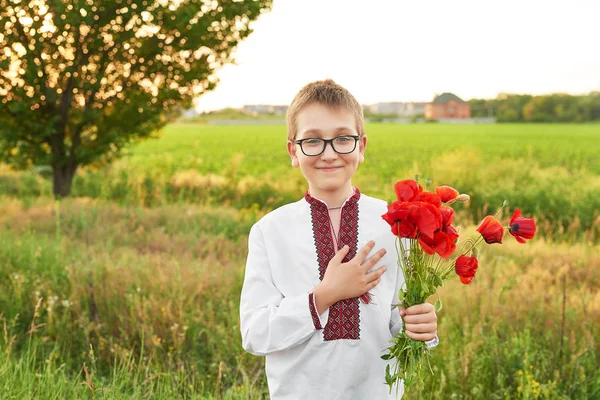 Niño Bordado Con Amapolas Campo Amapola Verano Atardecer — Foto de Stock