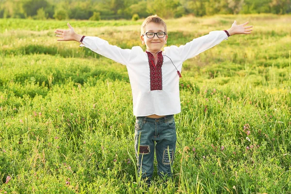 Ukrainian Child Boy Embroidery Field Royalty Free Stock Images