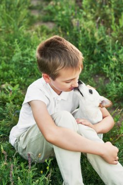 gün batımında yaz aylarında bir alanda köpek Jack Russell Terrier ile çocuk çocuk
